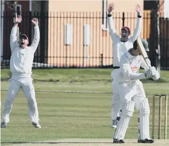  ??  ?? Seaham Harbour’s Jack Forrester survives an lbw appeal in Saturday’s loss to Sacriston. Pictures by Kevin Brady.