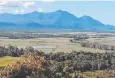  ??  ?? IDLE: A Cairns contractor is suing an Ingham developer over unpaid work done to this block of land in 2011 and 2014.