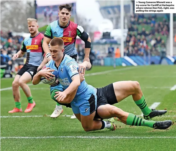  ?? ?? Young Cameron Winnett was a try-scorer for Cardiff at Harlequins where veteran Dan Fish, right, was pulling the strings again