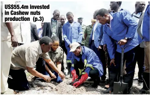  ?? - Picture by SALIM HENRY/STATE HOUSE ©2020 ?? FROM LEFT TO RIGHT:Mukumbuta Mukumba,Namalambo Mukumbuta,President Edgar Lungu and Minister of Agricultur­e Michael Katambo plants a Cashew Nut tree at the Mukumbuta’s Farm in Mongu yesterday.