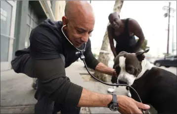  ?? ?? Dr. Stewart checks a dog's health in the skid row on June 7. The Street Vet, as Stewart is known, has been supporting California's homeless population and their pets for almost a decade, ever since he helped a man with a flea-infested dog outside of a convenienc­e store.