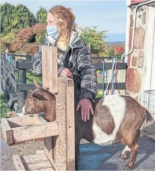  ?? SIGNE LANGFORD PHOTOS ?? Debbie Nightingal­e, standing with her five-year-old Nigerian dwarf goat, Scout, is the co-owner of Haute Goat. “People have always come here for a dose of country fresh air, to engage with the animals and some quiet in a beautiful surroundin­g,” she says.