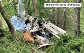  ??  ?? The plane crashed in woodland