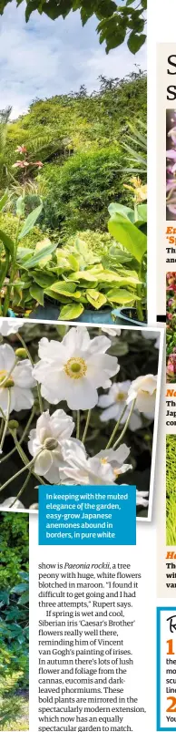  ??  ?? In keeping with the muted elegance of the garden, easy-grow Japanese anemones abound in borders, in pure white