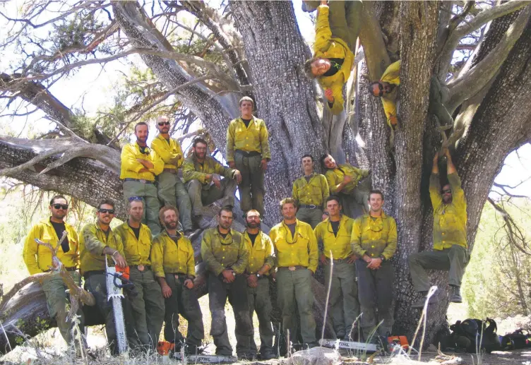  ??  ?? Members of the Granite Mountain Hotshots in front of the alligator juniper tree they saved during the Doce Fire in Prescott, Arizona: front row, Christophe­r MacKenzie, Andrew Ashcraft, Brendan McDonough, Garret Zuppiger, Joe Thurston, Sean Misner,...