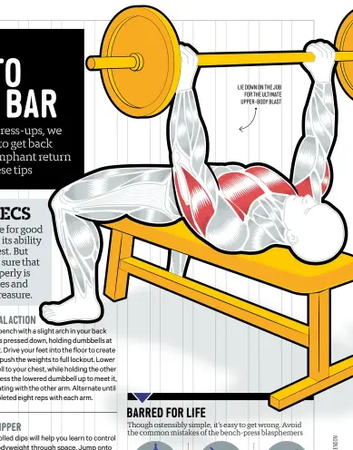  ??  ?? LIE DOWN ON THE JOB FOR THE ULTIMATE UPPER-BODY BLAST