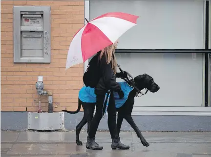  ?? ALLEN McINNIS ?? A woman and her dog try to stay dry on Wellington St. while a light drizzle falls on Montreal on Friday. The city has seen 135 millimetre­s of rain this month, which is only 30 millimetre­s shy of a record set in 2005.