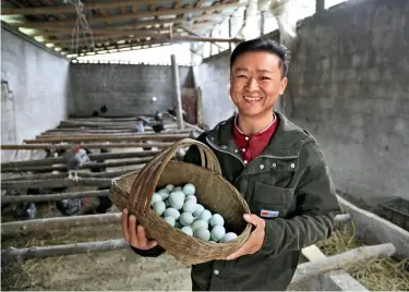  ??  ?? Xiong Yong est responsabl­e de la Base d’élevage de poules grises dans le village de Yeliping, à Chongqing.