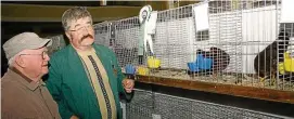  ??  ?? Ausstellun­gsleiter Hubert Rüdiger zeigt Besucher Reimar Köhler aus Löbichau ein mit Vorzüglich bewertetes Huhn der Rasse Zwerg-Welsumer von Aussteller Bernd Schellbach.