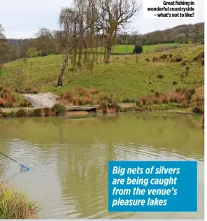  ??  ?? Great fishing in wonderful countrysid­e – what’s not to like? Big nets of silvers are being caught from the venue’s pleasure lakes