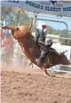  ?? DAVID MOERMAN ?? The World's Oldest Rodeo in Prescott is June 28-July 4.