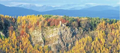  ?? Picture: Mike Bell. ?? Kinnoull Hill Woodland Park ablaze in a host of autumnal colours.