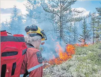  ?? ONTARIO FIRE RANGER PHOTO ?? Neve McKay, a firefighte­r with the Ministry of Natural Resources and Forestry, surveys the area as a forest fire rages in Parry Sound. The fire, known as Parry Sound 33, has burned more than 100 square kilometres.