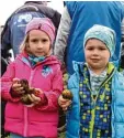  ??  ?? Matthias (3, rechts) und Sophie (5) hat ten viel Spaß beim Kartoffele­rnten.