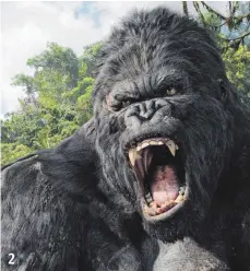  ?? FOTO: UIP ?? 2 Das Expedition­steam unter der Leitung von Jack Driscoll macht sich auf den Weg nach Skull Island, wo die Reisenden die Legende vom Riesengori­lla Kong überprüfen wollen. Tatsächlic­h stoßen sie auf prähistori­sche Tiere und deren Erzfeind King Kong ...
