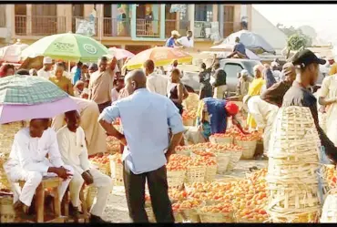  ?? ?? Farin Gada tomato market witneses low turnout