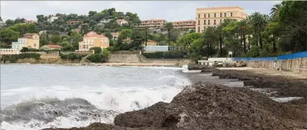  ?? (Photos A.L.) ?? Les coups de mer amènent sur la baie des Fourmis la posidonie, une plante aquatique protégée. La mairie cesse de nettoyer à la mi-septembre.