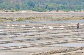  ?? SHUTERSTOC­K ?? In Tamil Nadu, salt pans exist across over 45,000 acres with an annual production of 30 lakh tonnes and providing employment to about 60,000 people..