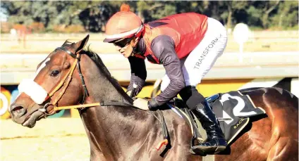  ??  ?? TOPWEIGHT. Bold Coast can follow up on his win over Vulcan when he lines up in Race 7 at the Vaal tomorrow. Keagan de Melo rides.