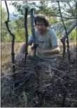  ?? AUDREY RODEMAN VIA ASSOCIATED PRESS ?? Writer Cain Burdeau weaving twigs and branches between posts to make a garden wattle fence on a property he lives on with his family in Contrada Petraro in the mountains of northern Sicily. In northern Sicily, fences are essential to protect gardens against wild pigs.