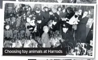  ??  ?? Choosing toy animals at Harrods
A bomb fell on Christmas Eve in 1944 in Tudhoe