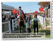  ?? ?? Zetland Gold Cup contender Pillar of Hope after winning at Redcar last September