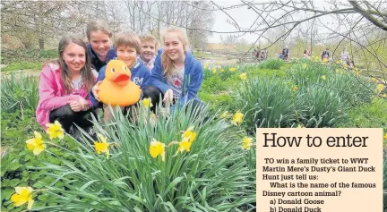  ??  ?? WWT Martin Mere Wetland Centre in Burscough is inviting people to take part in Dusty’s Giant Duck Hunt this Easter