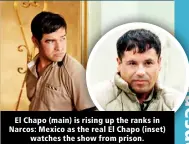  ?? ?? El Chapo (main) is rising up the ranks in Narcos: Mexico as the real El Chapo (inset) watches the show from prison.