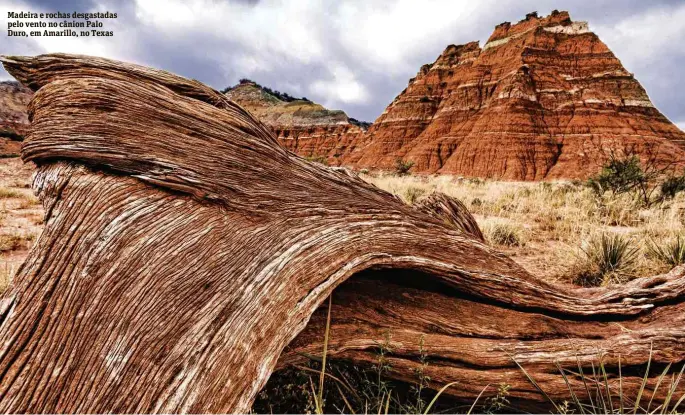  ??  ?? Madeira e rochas desgastada­s pelo vento no cânion Palo Duro, em Amarillo, no Texas