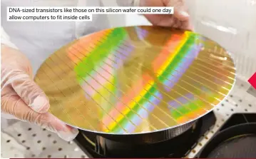  ?? ?? Dna-sized transistor­s like those on this silicon wafer could one day allow computers to fit inside cells