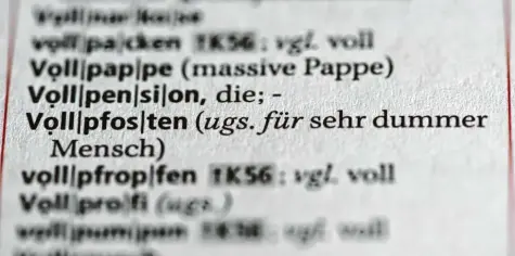  ?? Foto: dpa ?? Ist dieses oder jenes neue Wort plötzlich in aller Munde, gehen andere den Bach hinunter: Auch Wörterbüch­er wie der Duden reagieren auf den Sprachwand­el, nehmen neue Wörter auf und streichen im Gegenzug andere, zumindest in ihren gedruckten Ausgaben.