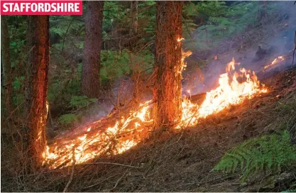  ??  ?? Fast-spreading: Flames engulf woodland in Dimmings Dale, two miles from Alton Towers