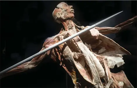  ?? COURTESY OF GREAT LAKES SCIENCE CENTER ?? “Body Worlds Rx” is on display at Great Lakes Science Center, which is reopening in phases.