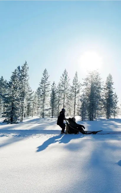  ?? PHOTOGRAPH­S BY SIMON ROBERTS ?? Dog-sledding at Kakslautta­nen Arctic Resort, in Finnish Lapland.