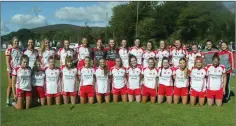  ??  ?? The Tinahely footballer­s who will contest the Leinster final in January.