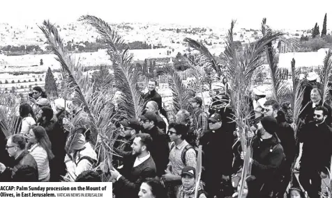  ?? VATICAN NEWS IN JERUSALEM ?? ACCAP: Palm Sunday procession on the Mount of Olives, in East Jerusalem.