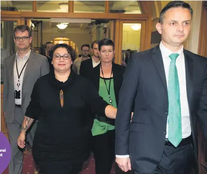  ?? Picture / Mark Mitchell ?? Greens co-leaders Metiria Turei and James Shaw leave Parliament after announcing she will stand-down as leader and retire from politics at the election.