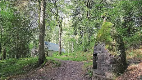  ?? | PHOTO : ARCHIVES OUEST-FRANCE ?? La forêt d’Andaine abrite des êtres légendaire­s bienveilla­nts ou maléfiques.