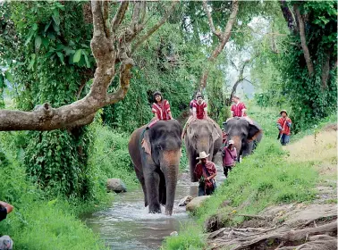  ??  ?? Bareback jumbo ride at Patara in Thailand by Susheela Nair