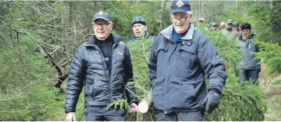  ??  ?? UT AV SKOGEN: Treet fraktes ut av skogen, og leder av Fjaere historiela­g, Per Kristian Finstad (t.h.) og Bent Saetra leder an.