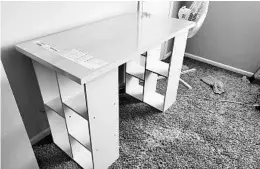  ?? MEGAN FRY ?? Megan Fry built a desk with items from Ikea and Amazon for just over $110.