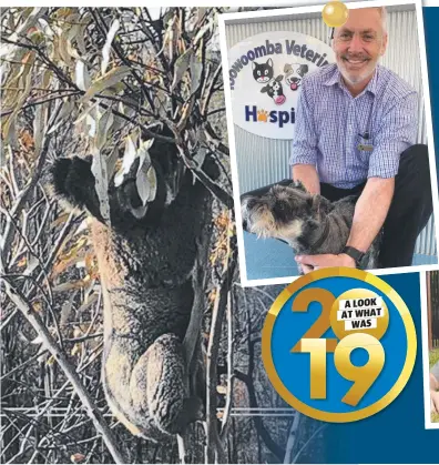  ?? Pictures: Contribute­d, Nev Madsen, Bev Lacey ?? FEEL-GOOD STORIES: Some of the amazing tales told in 2019 included (clockwise from left) Penny the koala being rescued from the Pechey fires; vet Dr Paul Sheedy offering his services to the homeless; former refugee Aluel Akoch sharing her incredible story; and youngster Carter Johnson finally meeting his heroes, the garbagemen.