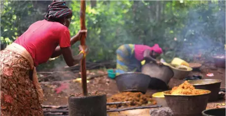  ?? ?? Local Palm Oil production