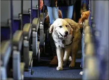  ?? ASSOCIATED PRESS 2017 ?? A service dog strolls through the aisle inside a United Airlines plane at Newark Liberty Internatio­nal Airport in April.