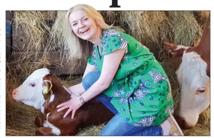  ??  ?? HIGH STANDARDS: Internatio­nal Trade Secretary Liz Truss meets Hereford cattle during farm visit in 2019