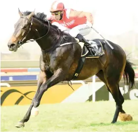  ??  ?? FINALLY. It took Alssakhra four tries to win a Maiden Plate but now he knows his job, could follow up in the Emperors Palace Ready To Run Cup sponsored by CTS over 1400m at Turffontei­n tomorrow.