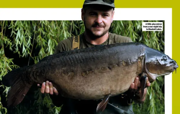  ??  ?? A 38lb-plus mirror from a one-night trip to Bluebell Lakes.