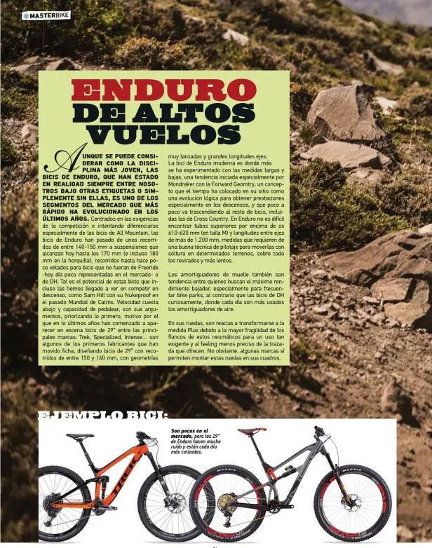  ??  ?? Son pocas en el mercado, pero las 29” de Enduro hacen mucho ruido y están cada día más cotizadas.