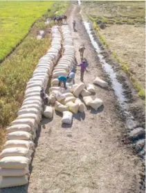  ?? ARCHIVO ?? Trabajador­es migrantes haitianos en el campo dominicano.