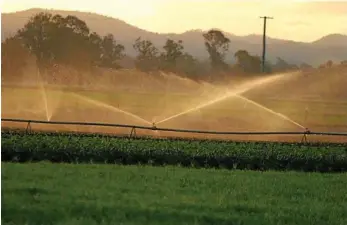  ?? PHOTOS: CONTRIBUTE­D ?? Sunset over the paddocks at Bare Essentials Quality Vegetables is a beautiful outlook.